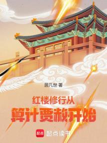 红楼修行从算计贾赦开始 作者居凡世