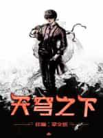 穹顶之下有几部