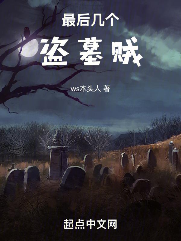 最后一个盗墓