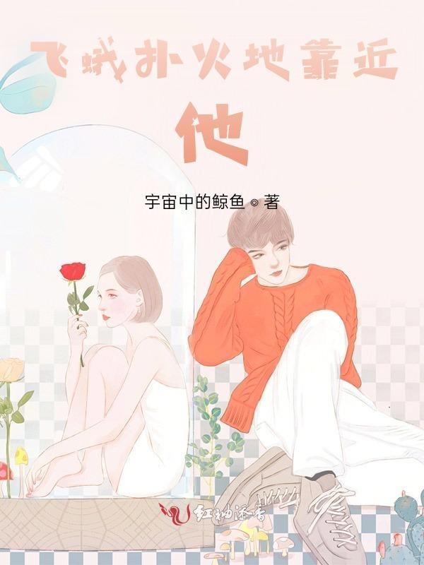 飞蛾扑火下一句