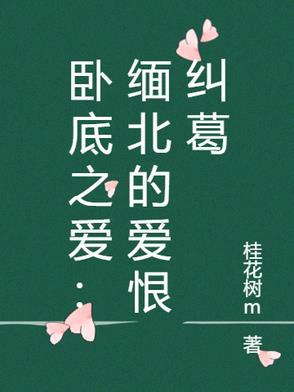 抗战片卧底