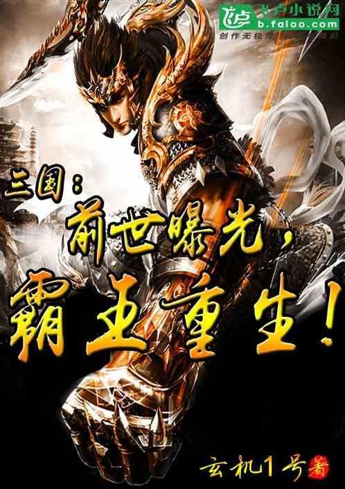 重生三国之霸王枪