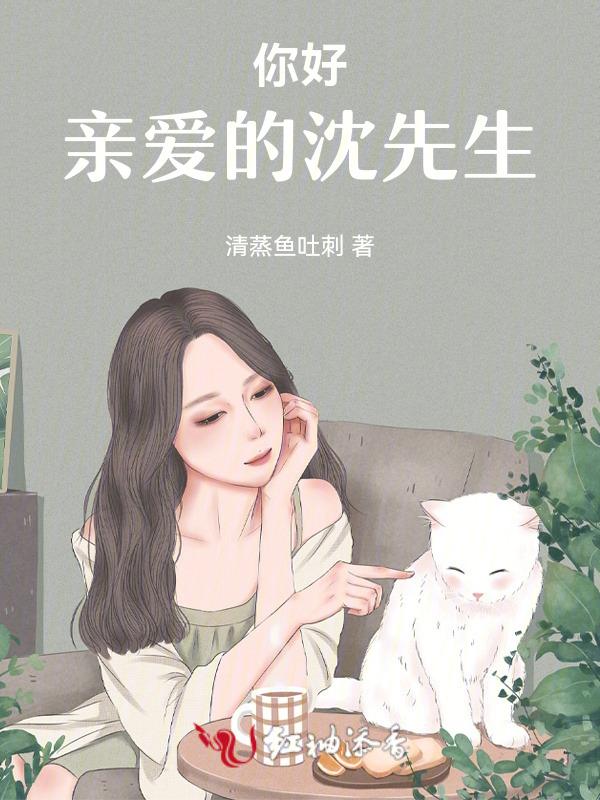 你好沈先生48章