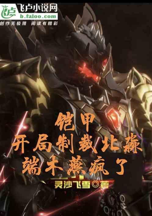 铠甲之开局获得最强正气