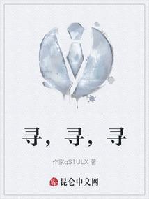 寻是什么意思