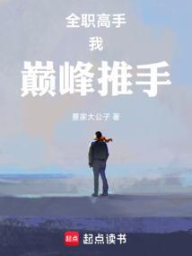 巅峰全职高手同人