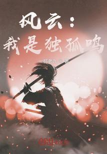 风云独孤城主