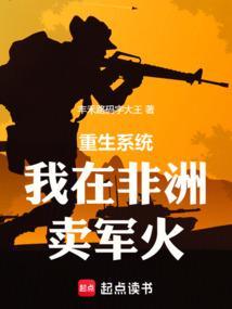 开局在非洲买武器