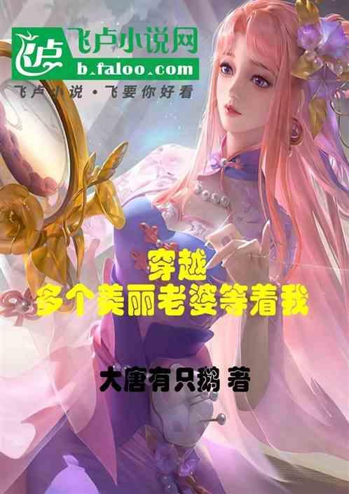 穿越拥有很多美女老婆