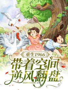 重生1965带着个空间