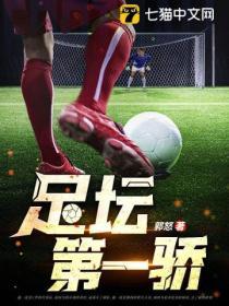 足坛第一骄免费阅读