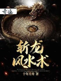 斩龙风水术免费阅读
