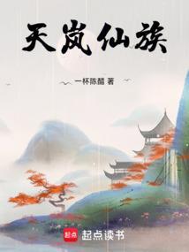 天岚仙族txt