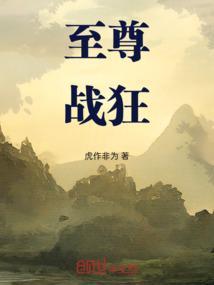 至尊战神狂婿免费阅读