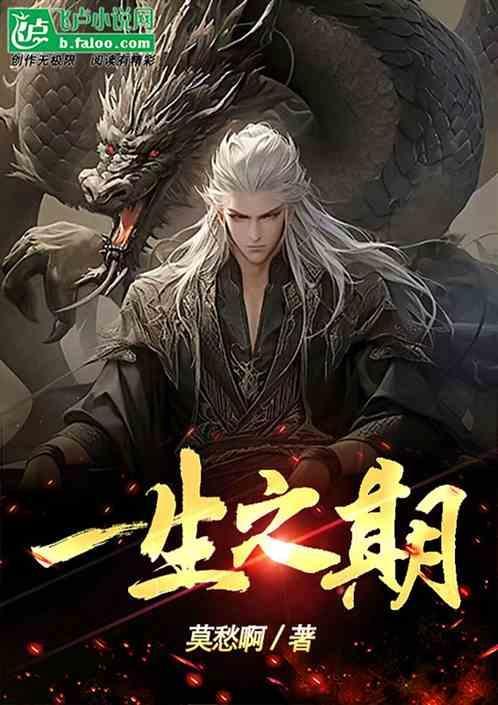 一生之力