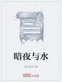 暗夜与黎明原版