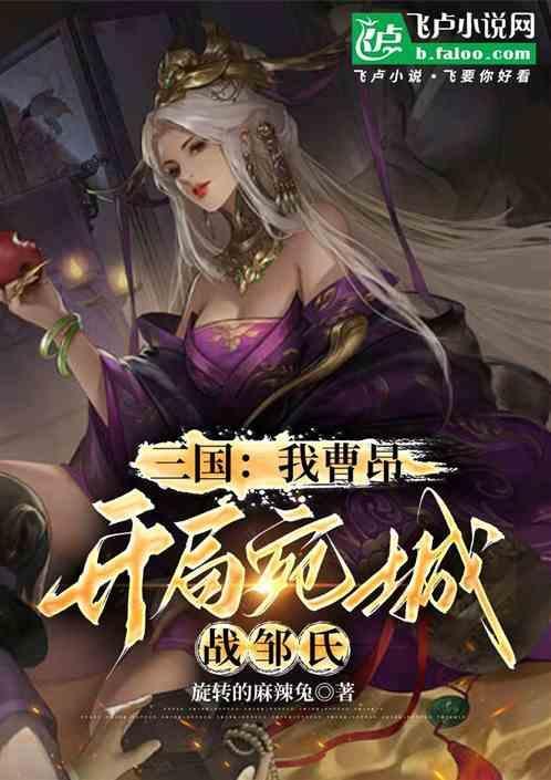 穿越三国之我是曹昂