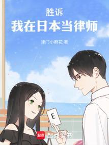 我在日综当律师