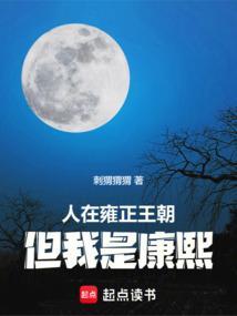 但我是康熙笔趣阁