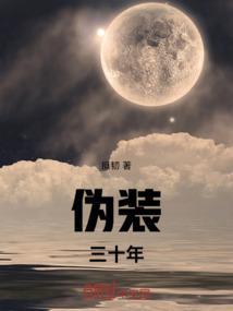 伪装者 30