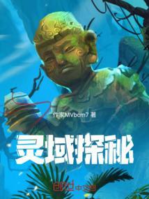 灵域解析