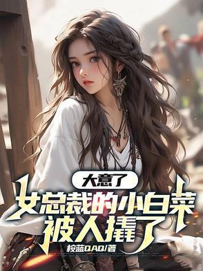 女总裁的小白脸