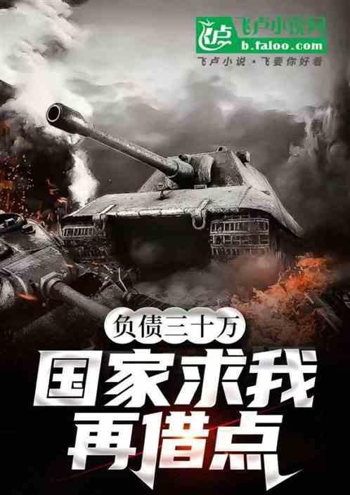 负债30几万