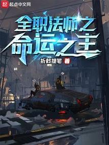 全职法师之稳健