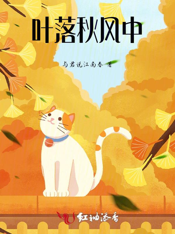 秋叶落风未停的寓意