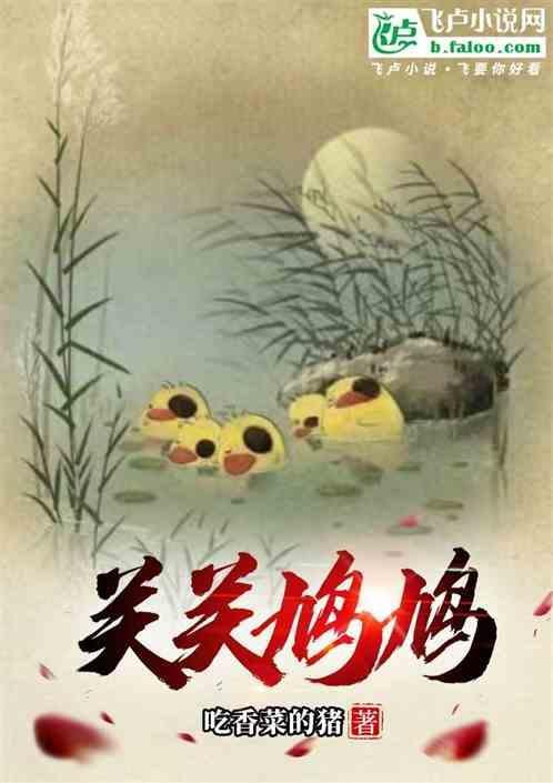 关关雎鸠关关的意思
