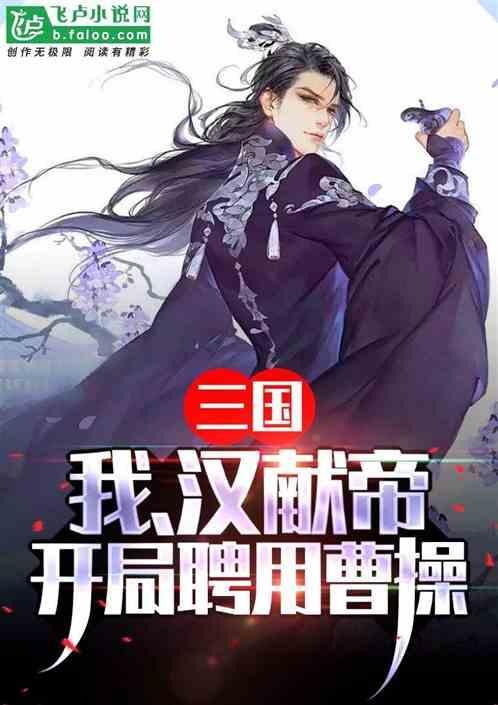 穿越三国之我是汉献帝的姐姐