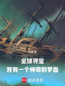 全球寻宝游戏