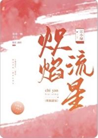炽焰流星讲的是什么