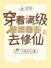 带着满级游戏技能去穿越