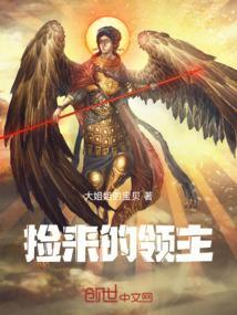 捡来境界划分