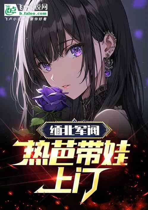 缅甸缅北民团