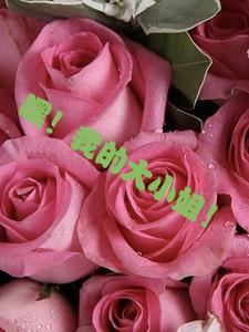 我的大小姐日文