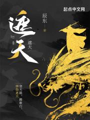 遮天大帝对应完美世界什么境界