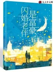 闪婚老公是老板