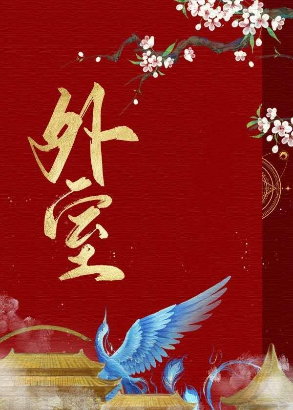 外室之妻免费阅读完整