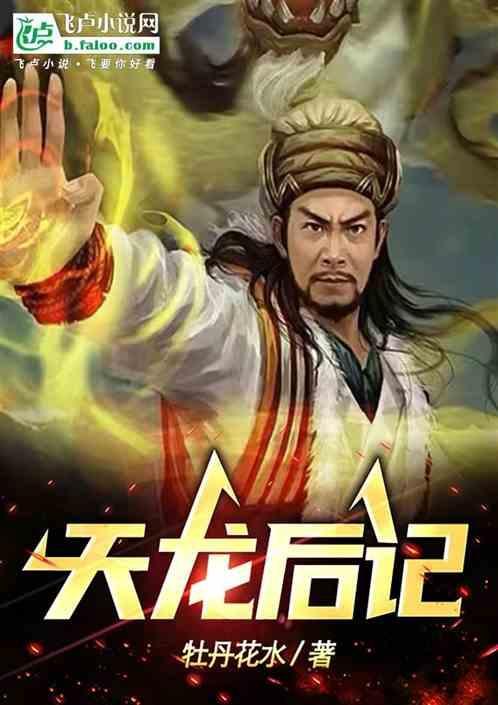 天龙后记老男人是谁
