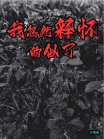 你突然释怀的意思