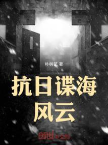 谍海风云 电视剧