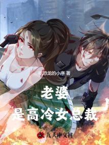 老婆是高冷女总裁全文阅读