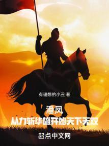 潘凤战华雄视频