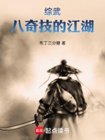 综武八奇技的江湖布丁三分糖
