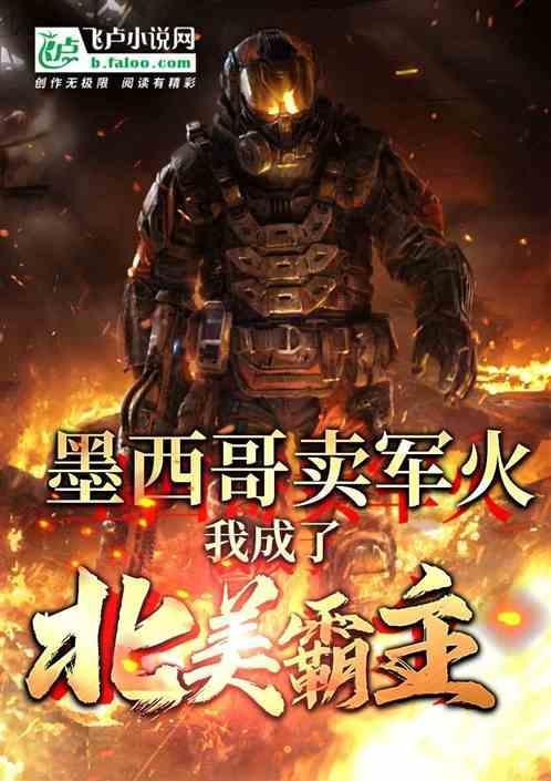 墨西哥禁抢吗