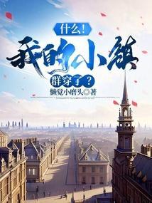 我的小镇系列52个