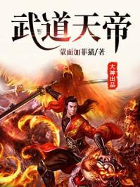 武道天帝目录大全