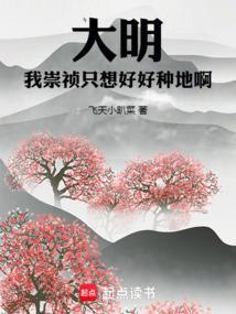 大明我崇祯要打爆全球txt